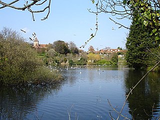 <span class="mw-page-title-main">Davington</span> Human settlement in England