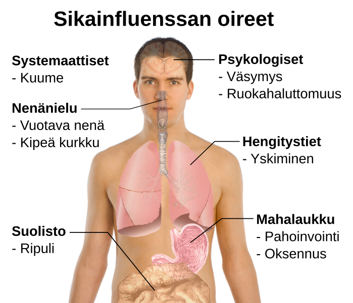 File:Symptoms of swine flu-fi.svg