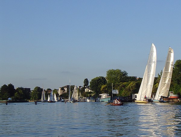 Scullers, skiffs and Thames Raters at Raven's Ait on one of the most active stretches of the river