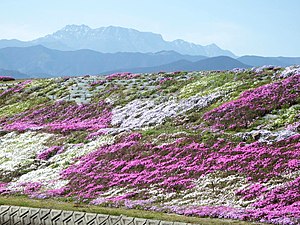 西条市: 概要, 地理, 歴史