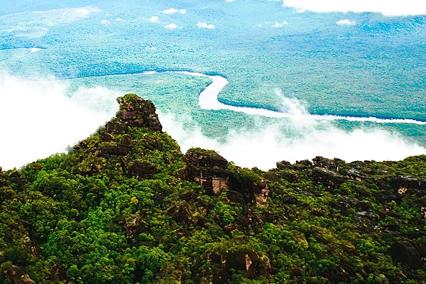 View of the Venezuelan Amazon from the top of a tepui