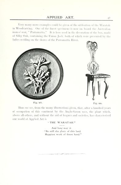 File:The Australian flora in applied art (Page 47) BHL7371655.jpg