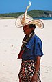 حاكم غرب روتي في جزيرة نداو، 2007