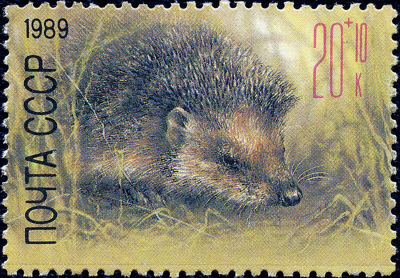 File:The Soviet Union 1989 CPA 6057 stamp (European hedgehog) large resolution.jpg