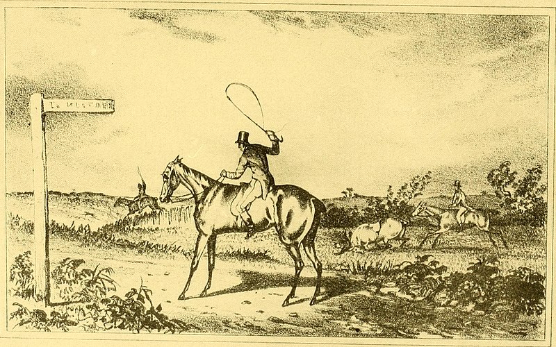 File:The condition of hunters - their choice and management (1908) (14594333247).jpg