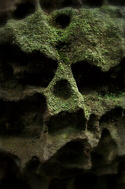 The skull on the rock, Ukraine.jpg
