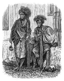 An illustration from Wallace's The Malay Archipelago, signed 'T. Baines', showing men from Timor holding palm leaf umbrellas, plant artefacts like one he gave to the Royal Botanic Gardens, Kew Timor Men in Malay Archipelago drawn by T Baines from a photo.jpg