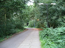 The path through Tocil Wood Tocil woods path 4g07.JPG