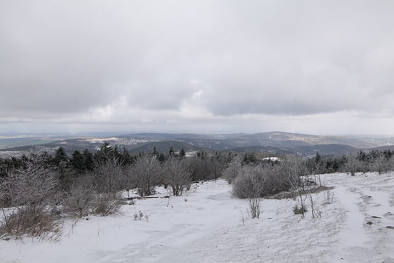 File:Top of Großer Feldberg with snow 2021-04-06 01.jpg