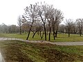 Troicki pasad, Mahilioŭ, Belarus - panoramio (158).jpg