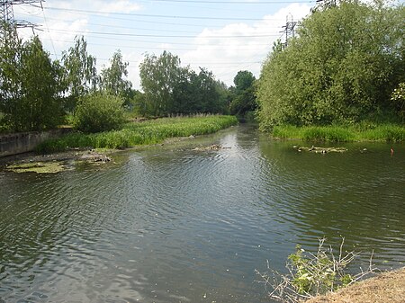 Turkey Brook