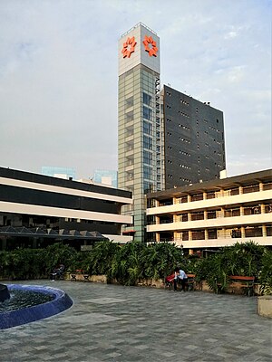 Universidad de Lima