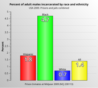 Race in the United States criminal justice system