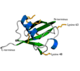 Ubiquitin