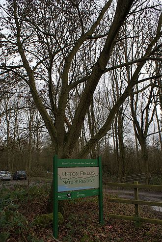 Entrance to the site Ufton Fields 1.jpg