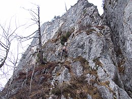 Via Ferrata Monte-Pelsa Fiamme Gialle.JPG