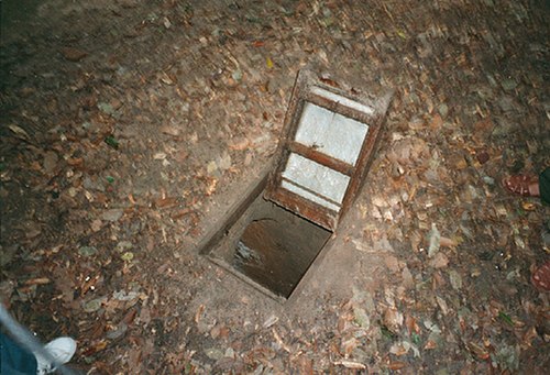 The camouflaged trap door, now open.