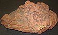 Volcanic bomb (basaltic andesite) (Upper Pleistocene, 71 ka; SP Crater cinder cone, Coconino County, Arizona, USA) 3 (30991115090).jpg