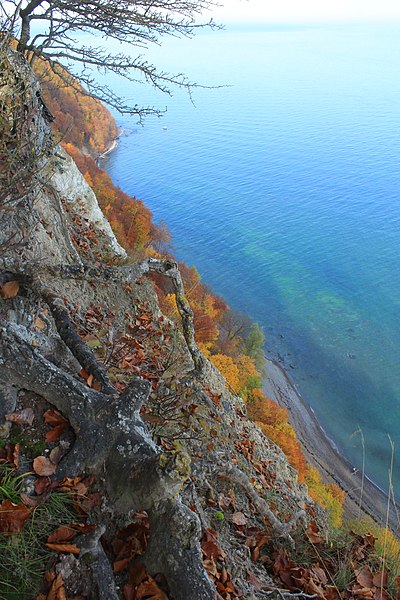 File:Von der Victoria-Aussicht Richtung Königsstuhl.JPG