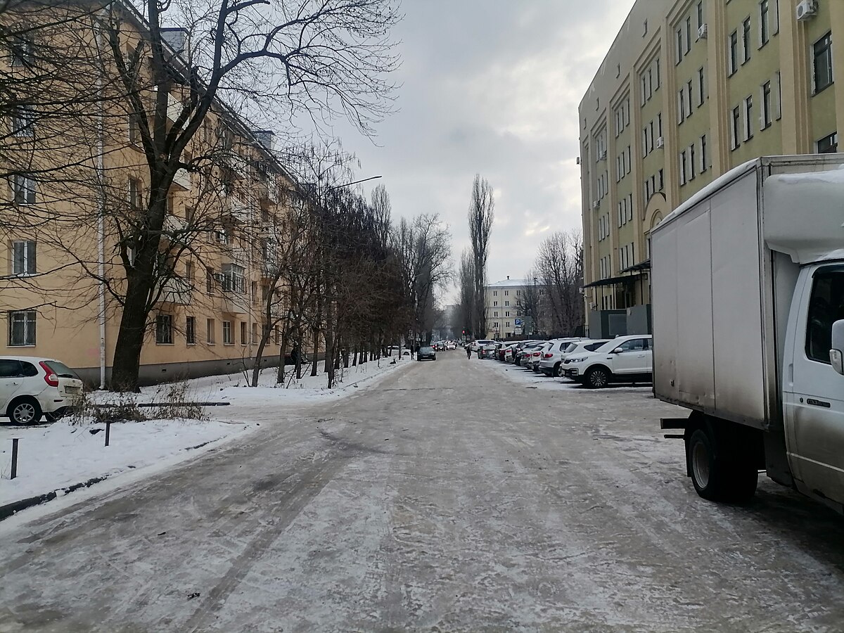 Студенческая улица (Воронеж) — Википедия