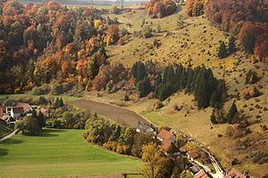 Juniper heather near Gundelfingen