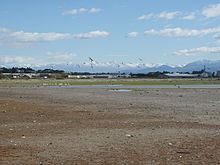 Washdyke Lagoon - бұл лагунаның айналасында көп жиналатын көптеген құстардың көптеген түрлері.