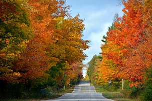 Fall color, October 20