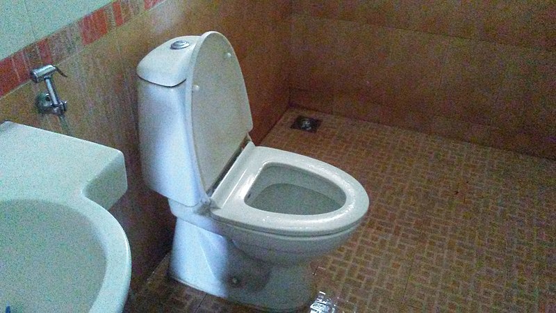 File:Western water closet.jpg