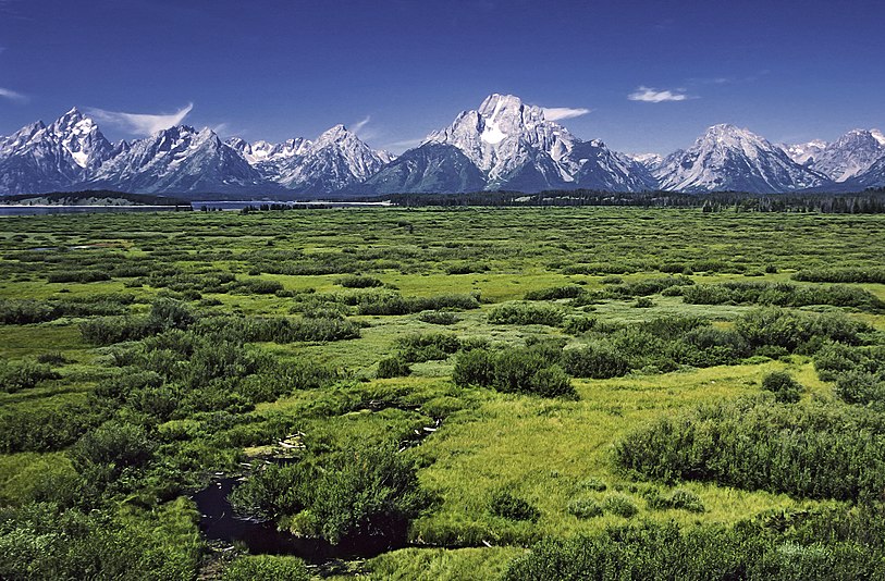 Willow Flats area and Teton Range in Grand Teton National Park