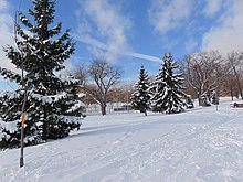 Withrow Park is a municipal park situated in the neighbourhood of Riverdale. Withrow Park, winter 3.jpg