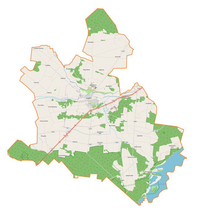 Mapa konturowa gminy Wolbórz, w centrum znajduje się punkt z opisem „Wolbórz”