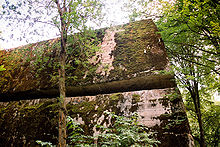 Enormous amounts of explosives were used by the retreating Germans to blow up the Wolfsschanze bunkers. Here the explosion has lifted a bunker's roof, made of solid ferro-concrete two meters thick. Wolfsschanze, Gierloz, Poland 1.jpg