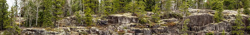 File:Woodland Caribou Provincial Park (cropped).jpg