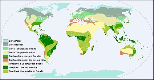 Екозони Світу