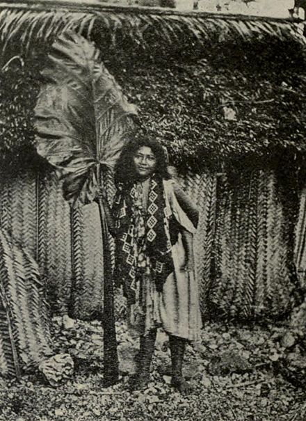 A portrait of a Niuean woman who is in front of a Niue House with "woven walls", photograph taken before 1899. Woven Walls of Niue House, Memoirs Bishop Museum, Vol. II, Fig. 43.jpg