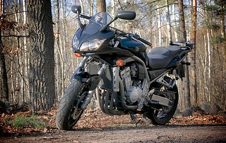 ไฟล์:Yamaha_FZS_1000S_Fazer.jpg