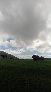 Thumbnail for File:Yangmingshan National Park LEE TING HSUAN 01.jpg