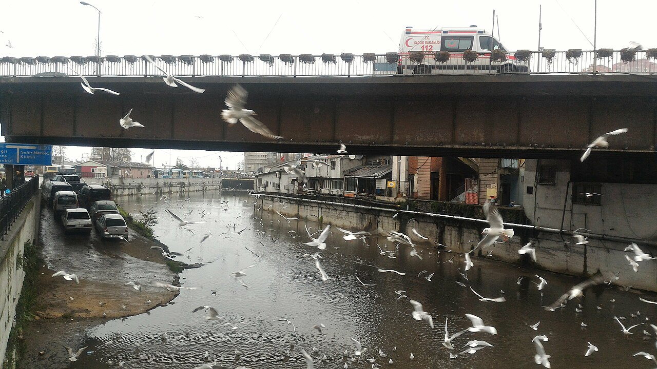 Zonguldak Merkez Anadolugrupharita Com