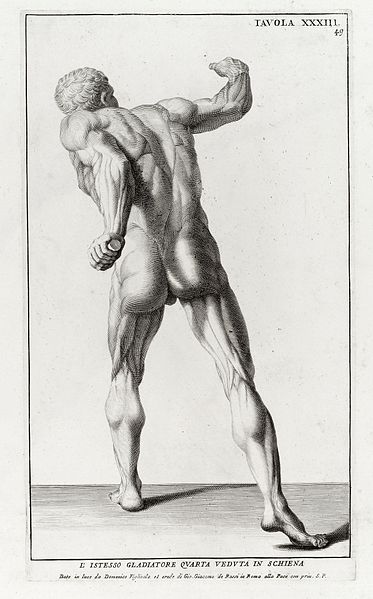 File:"Anatomia per uso...del disegno...", B. Genga, 1691 Wellcome L0009712.jpg