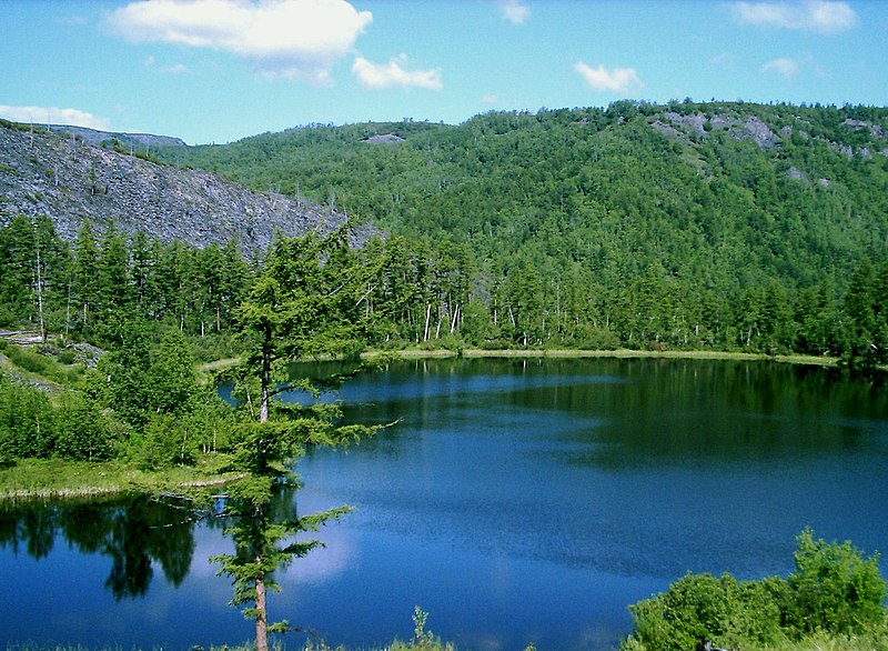 File:Вид с сопки на одно из цепочки озёр природного парка "Голубые озёра".jpg