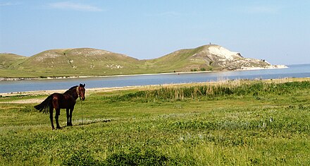 Подвалье самарская область погода. Подвалье Самарская область. Село Подвалье Самарской области. Село Подвалье Шигонский район. Шигонский район Самарской области.