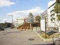 名古屋大学 - panoramio (20).jpg