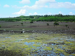 1885年 澎湖之役: 背景, 澎湖守軍的部署, 交戰過程