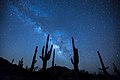 -conservationlands15 Social Media Takeover, June 15th, Top 15 Places to Stargaze on the -mypubliclandsroadtrip in BLM California (18237536213).jpg