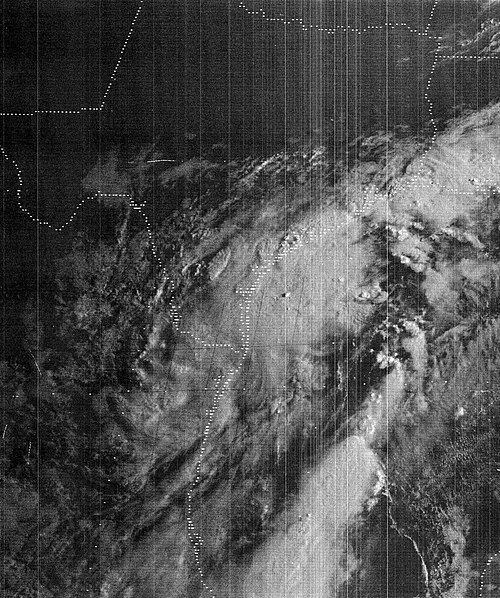 1981 Atlantic hurricane season