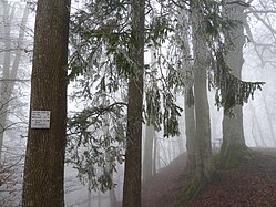 (LSG:BW-4.26.022)_Bussen, Raureif auf dem Bussenberg