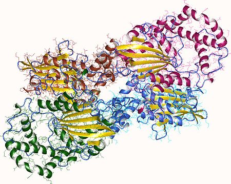 Fosfatase_asid