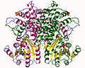 Vignette pour 6-Phosphogluconate déshydrogénase