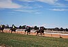 Horse racing at the Berrigan Cup race meeting in the small New South Wales town of Berrigan