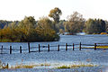 * Nomination River Oder, polish national park --Ralf Roletschek 22:43, 25 February 2011 (UTC) * Decline Blurry. Qiqritiq 13:25, 26 February 2011 (UTC)